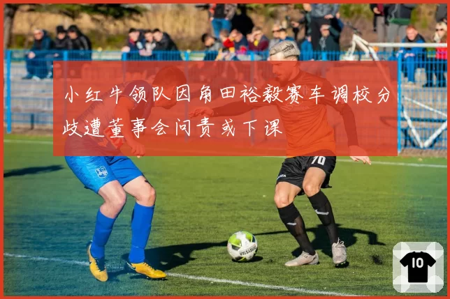 小红牛领队因角田裕毅赛车调校分歧遭董事会问责或下课